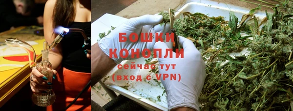 гашик Лагань