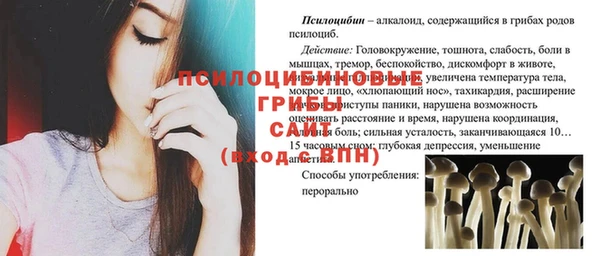 гашик Лагань